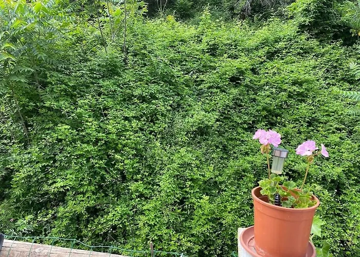 Villa Serenice - F2 Au Calme, Climatise, Wifi Et Parking Gratuit