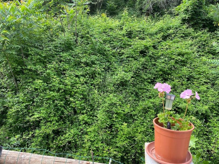Serenice - F2 Au Calme, Climatise, Wifi Et Parking Gratuit Casa de Férias Nice
